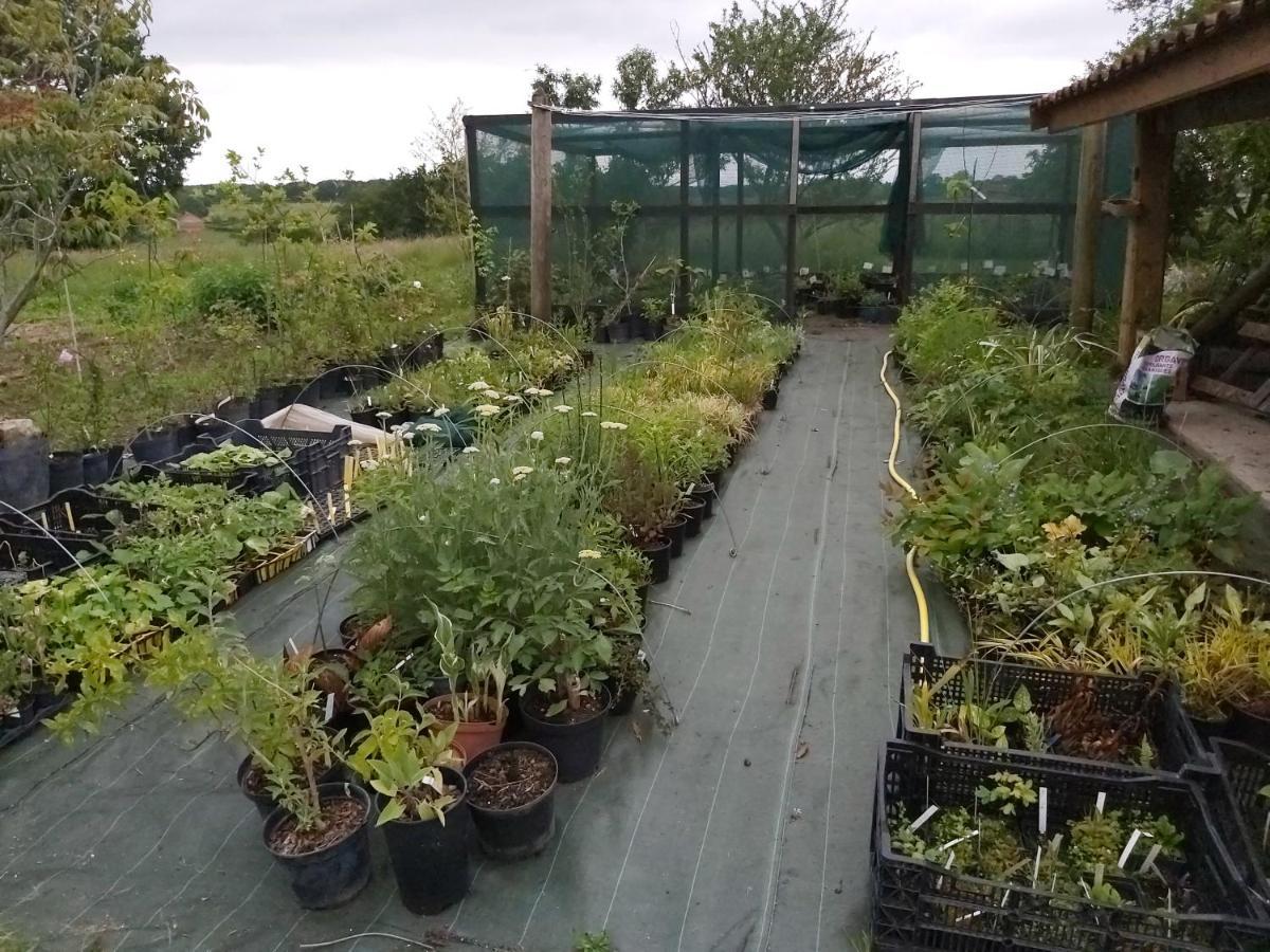 Gite Du Jardin Du Bout Du Ciel Céron Esterno foto