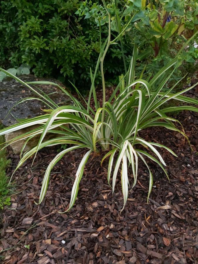 Gite Du Jardin Du Bout Du Ciel Céron Esterno foto