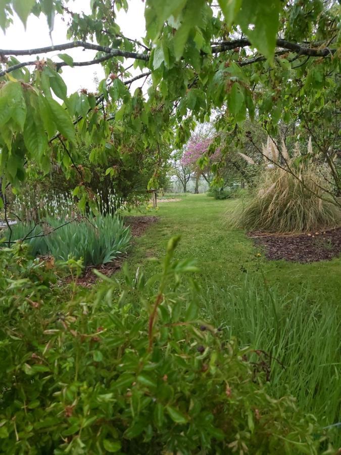 Gite Du Jardin Du Bout Du Ciel Céron Esterno foto