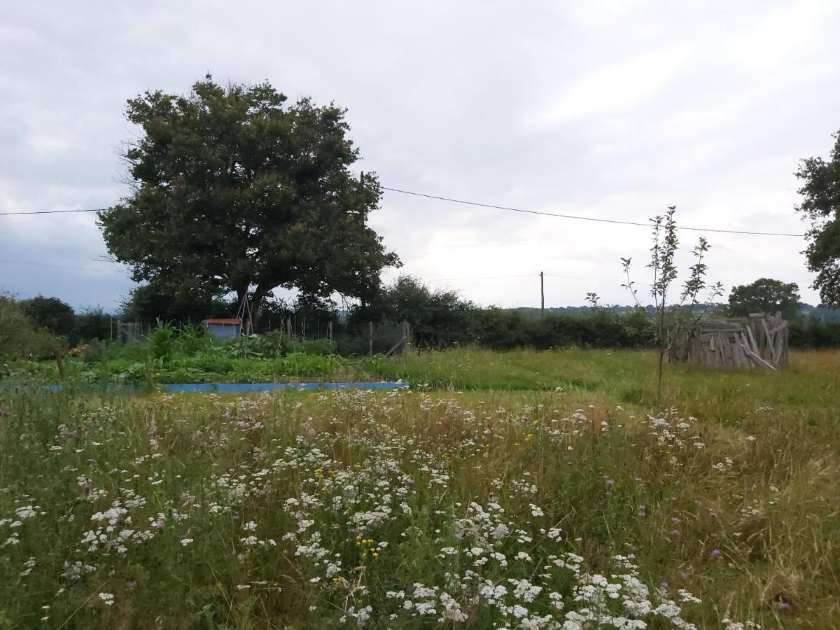 Gite Du Jardin Du Bout Du Ciel Céron Esterno foto